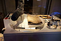 Custom Displays for Hyde Park Barracks Museum by Allplastics