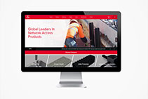 Network Access Products - Brand New Website by Cubis Systems