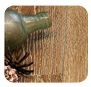Wild River Timber Company