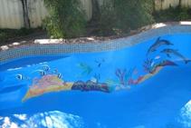 	Aquatic Design Pool Murals with Hitchins Technologies	
