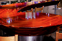 Stylish Curved Structural Surfaces by DGI