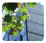 Window Energy Solutions