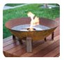 EcoSmart Fire