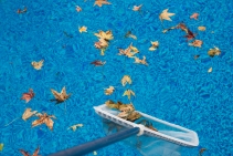 	Leaf Trapper for Swimming Pools by Waterco	
