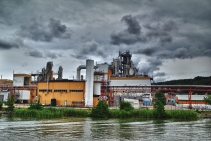 	Rockwool Partition Batts for Soundproofing by Bellis	