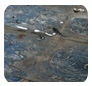 F.E.W Waterproofing
