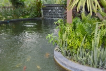 	Filtration System for Water Gardens by Waterco	