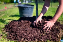 	Organic Soils and Mulch for Landscaping from The Nielsen Group	