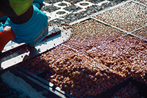 Sustainable Paving with Gravel Cell by Atlantis Corporation