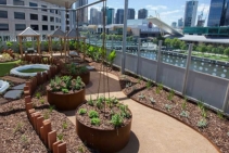 	Metal Edging for Rooftop Gardens by FormBoss	