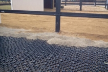 	Stable Grid for Equestrian Surface Reinforcement by Atlantis	