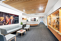High-performance Acoustic Ceiling Panels from Screenwood