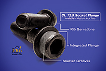 Class 12.9 Socket Flange Screws from The WDS Group
