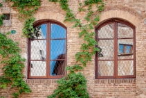 	Bird Safety Film for Windows by Window Energy Solutions	