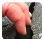 F.E.W Waterproofing