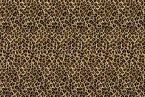 	Safari Print Wool Carpets from Prestige Carpets	