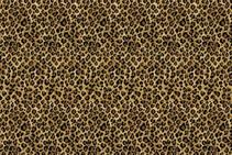 	Safari Print Wool Carpets from Prestige Carpets	