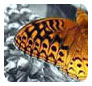 Allplastics Engineering