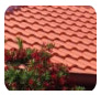 Southern Cross Roofing