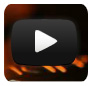 EcoSmart Fire