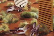 	Why Supporting Australian-made Products Matters by Open Shutters	