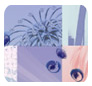 Decoration + Design Expo