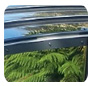 Light & Space Roof Systems