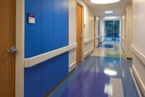 	Handrails for Hospitals from Allplastics	