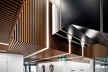 Au.diSlat Linear TImber Slat Modules by Atkar