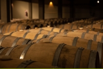 	Epoxy Flooring for Wineries by Poly-Tech	