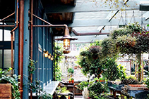 Rustic Metal Finishes for The Potting Shed by Astor Metal Finishes