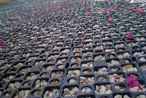 	Gravel Cell Installation for Car Parks by Atlantis Water Management	