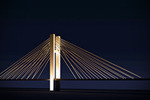 Sharp Cut-off (EES) Optic Lighting by WE-EF