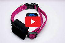 Smart Pet Sliding Door Access - K9 RFID Tags from ADIS