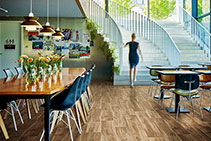 New General Purpose Vinyl Flooring - Eternal by Forbo