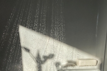 	Brushed Gold Shower Combo by Tilo Tapware	