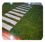 Iconic Landscaping