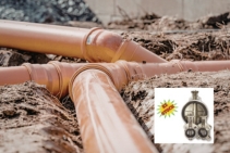 	Stainless Steel Butterfly Valves for Flow Control by Powerflo Solutions	