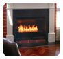 EcoSmart Fire