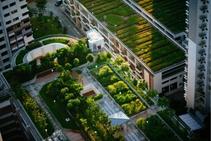 	Green Roof Compatible Extruded Polystyrene Insulation by Greenguard	