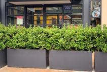 	Planter Boxes for Shopping Centre by Mascot Engineering	