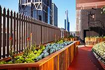 Sustainable Landscaping Solutions Melbourne from KHD