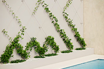 Stainless Steel Green Walls Simple to Install from Miami Stainless