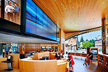 Acoustic Linear Timber for Health & Education from Screenwood