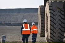	Full Crew Labour Hire QLD by Bellis	