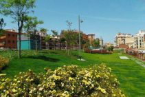 	Green vs Grey Infrastructure: The Best Stormwater Solutions Combine Both	