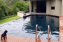 	Swimming Pools Painted Black with Hitchins Technologies	