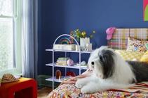 	The Colours of Summer 2023 Colour Trend by Dulux	