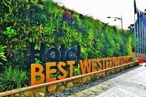 	Vertical Gardens for Commercial Spaces by Elmich	