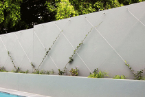 Green Wall Packages Easy to Order from Miami Stainless